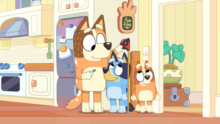 《致命红包》——神秘红包的出现