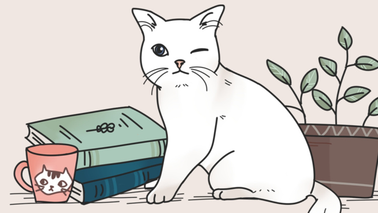 隐婚天价老公：真情绽放