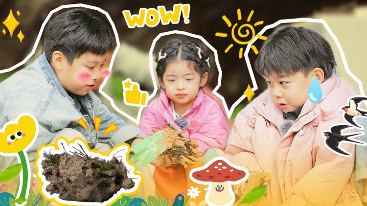 薄爷夫人把您卖了换钱花了