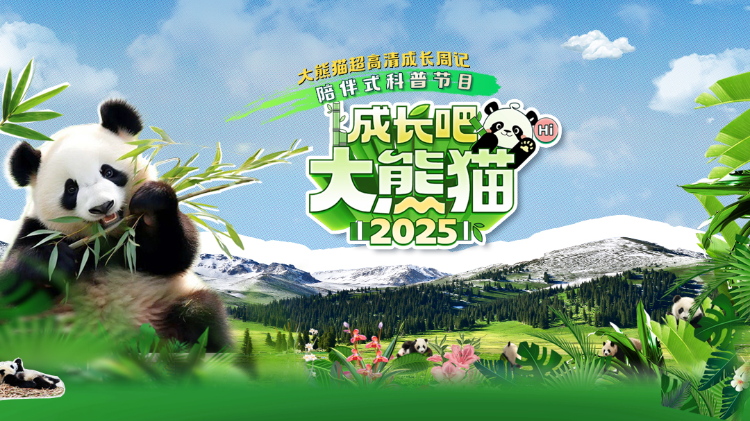 成长吧！大熊猫2025-封面1