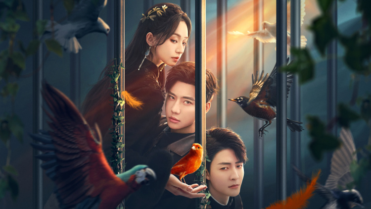 闪婚恋爱进行时