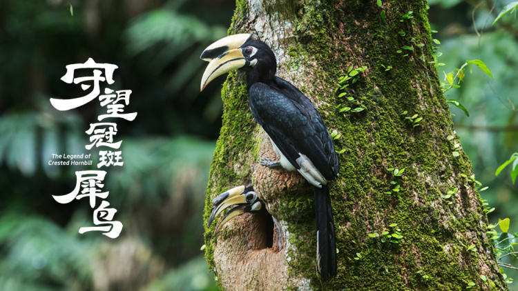 不需要铺设龙骨的情况