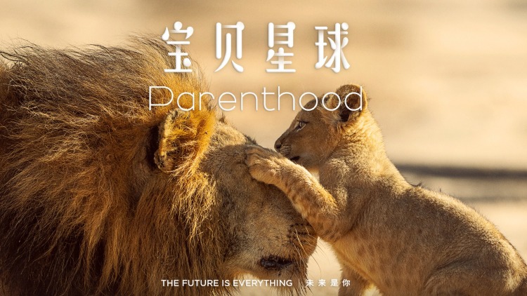 我突然强到傲天了