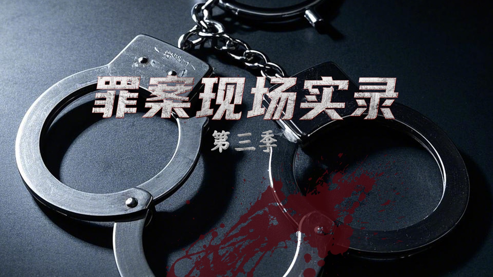 罪案现场实录 第三季-封面1