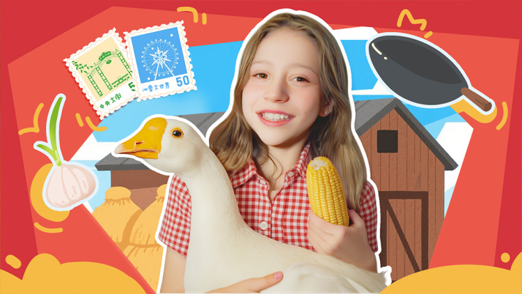 《美人辞嫁》孤勇抗争