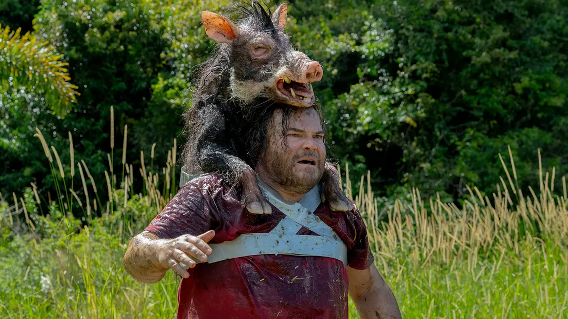 新狂蟒之灾-封面1