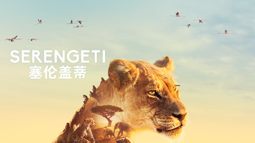 塞伦盖蒂 第1季-封面1