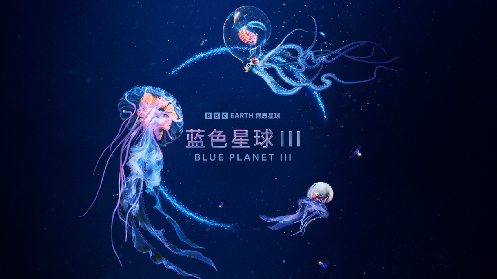 蓝色星球第3季
