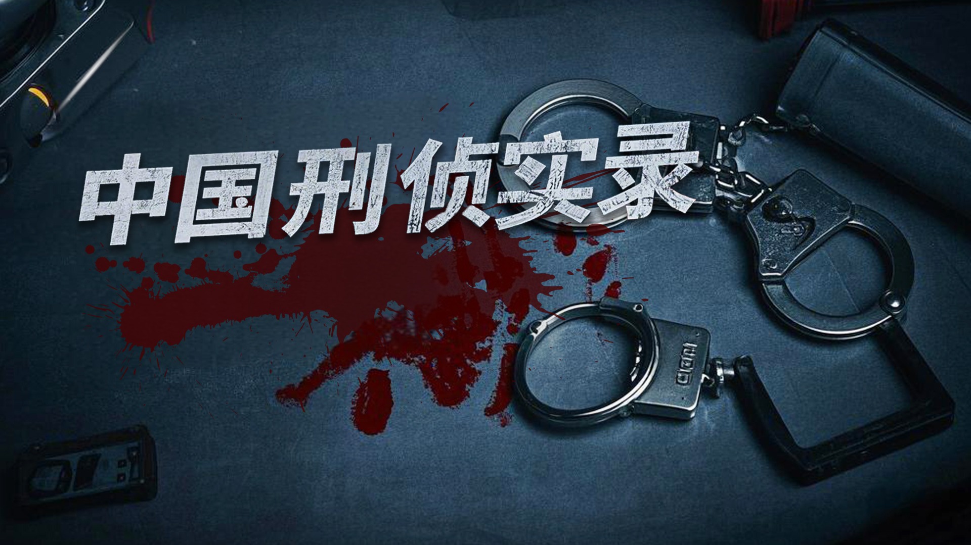 中国刑侦实录-封面1