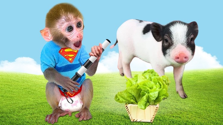 与君重逢初见时