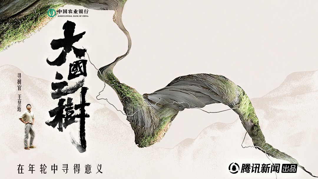 大国之树-封面1
