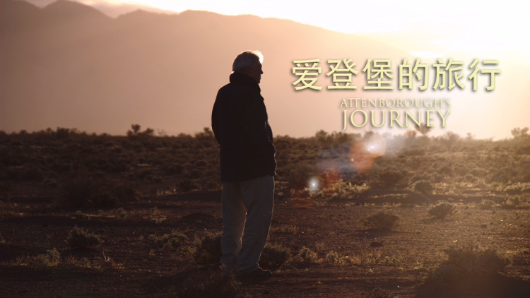 重生后叛出家门前夫一家跪地求原谅