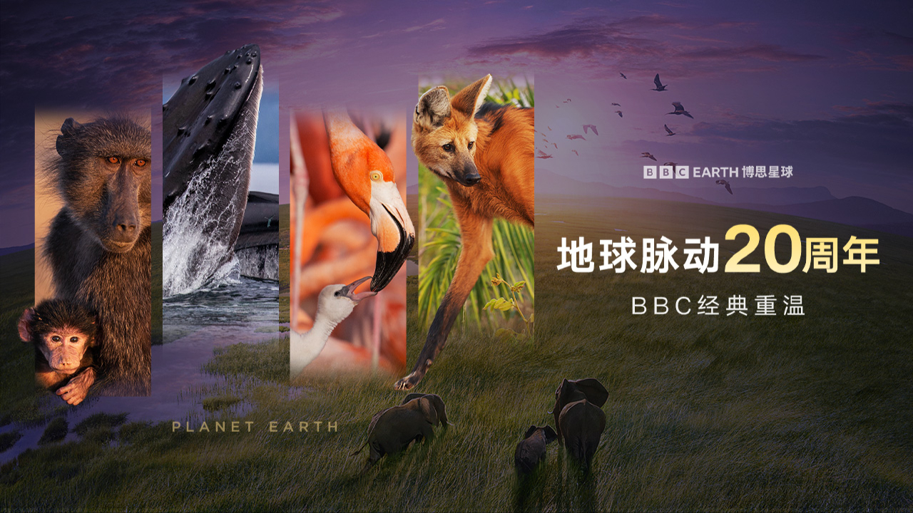 《地球脉动》20 周年，爽看全季！-封面1