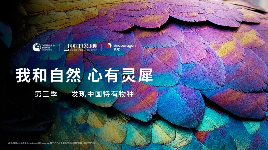 我和自然 心有灵犀 第3季：发现中国特有物种-封面1