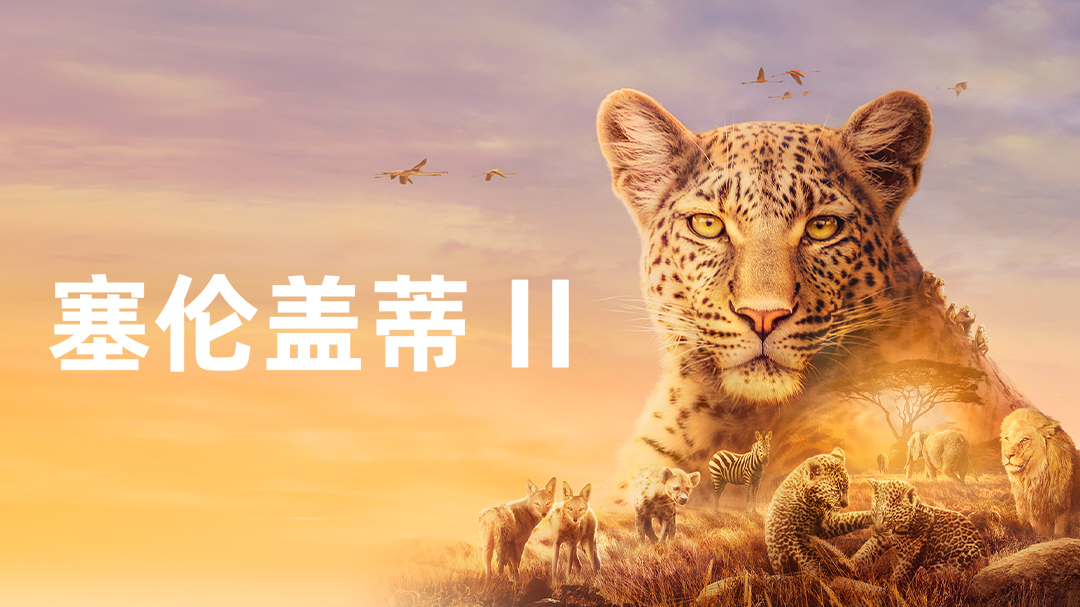 塞伦盖蒂 第2季-封面1