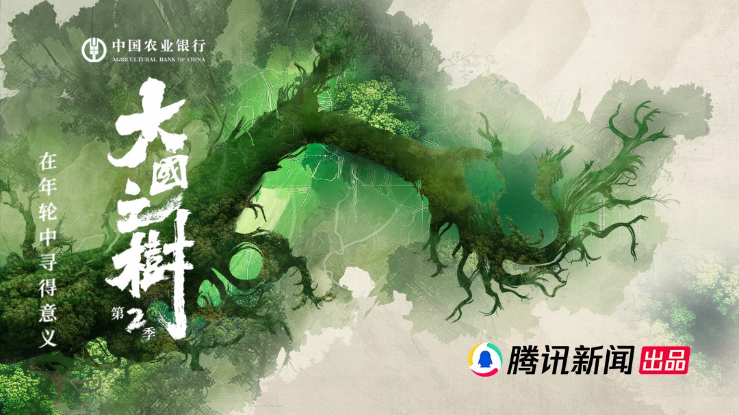 大国之树 第2季-封面1