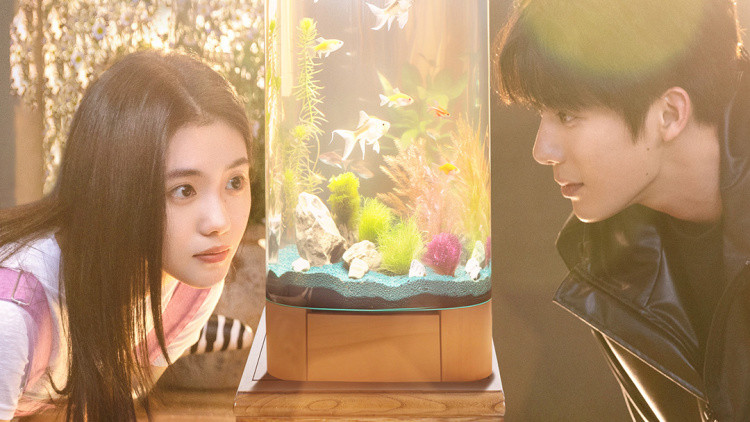 《天网恢恢之迟来的审判》最新选集