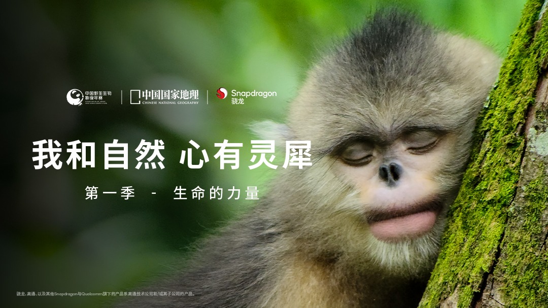 我和自然 心有灵犀 第1季：生命的力量-封面1