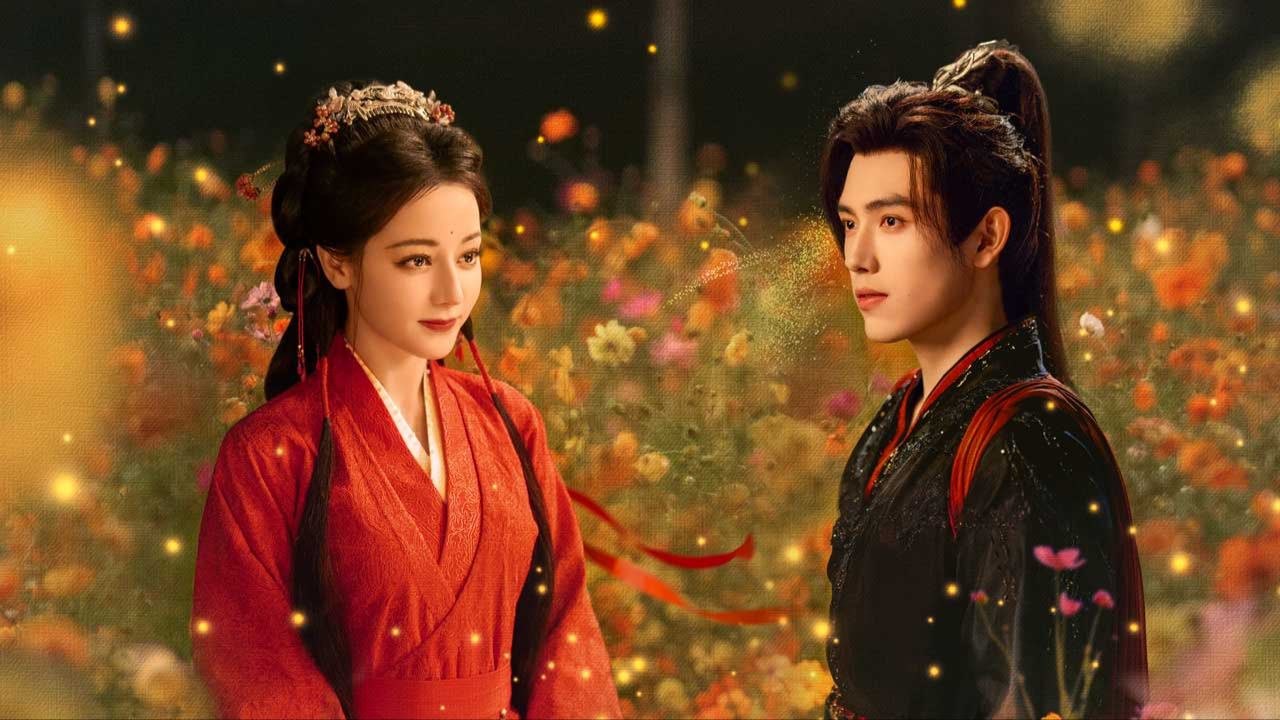 白日提灯-封面1