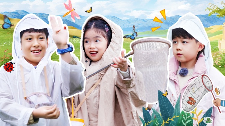 纪念我们遗失的爱的初次冲突