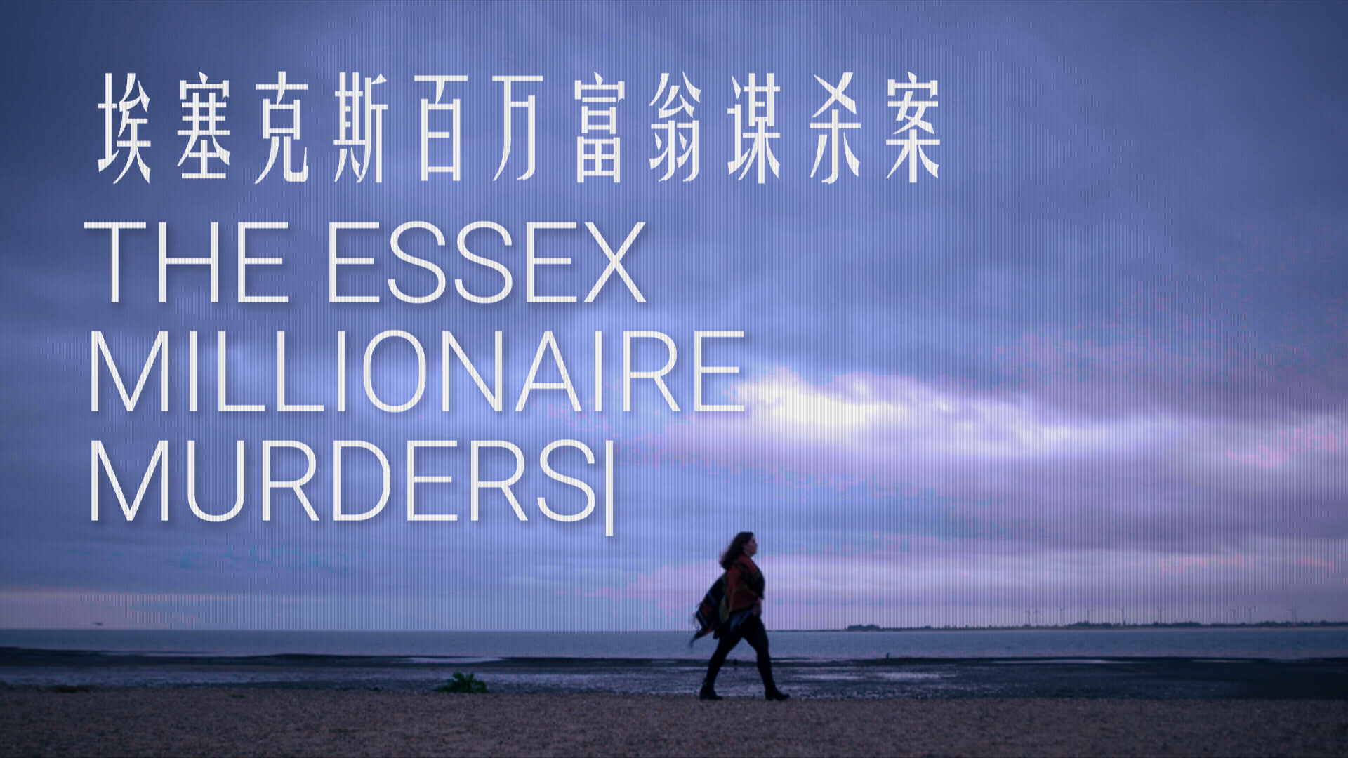 埃塞克斯百万富翁谋杀案-封面1