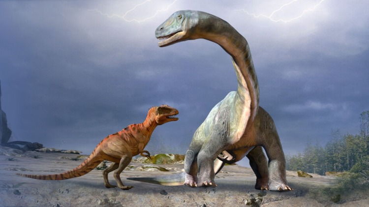 《八月十五团圆饭》温情的回忆