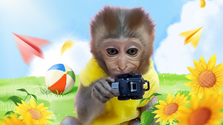 配置与安全：在预算内如何做到更好选择