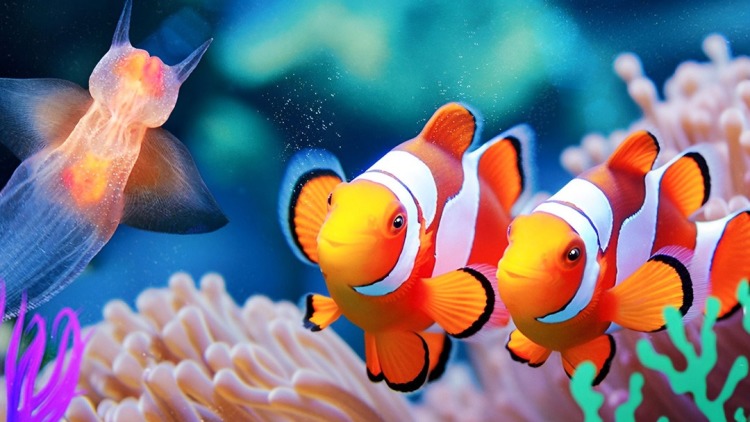 宫女的动机：权力、复仇与欲望