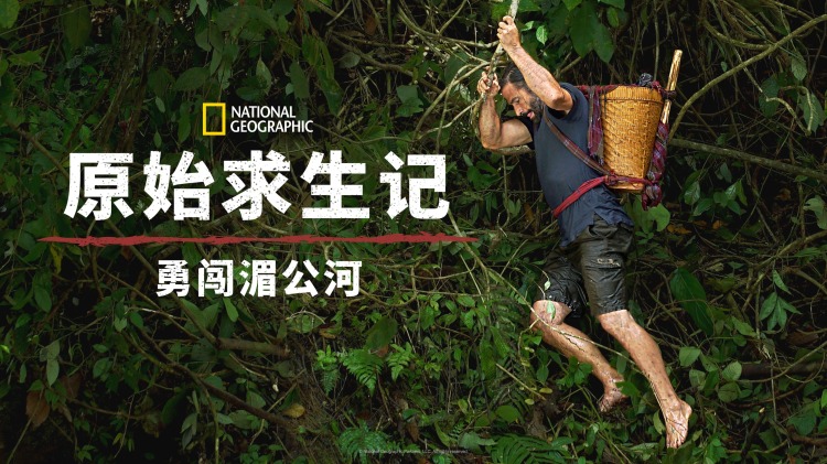 叶利钦的早年经历与政治生涯