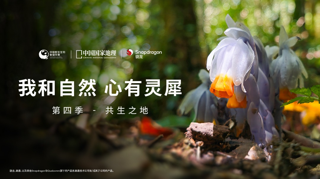 我和自然 心有灵犀 第4季：共生之地-封面1