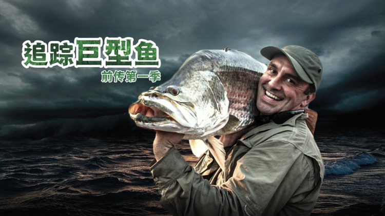 生有余晖至死方烬