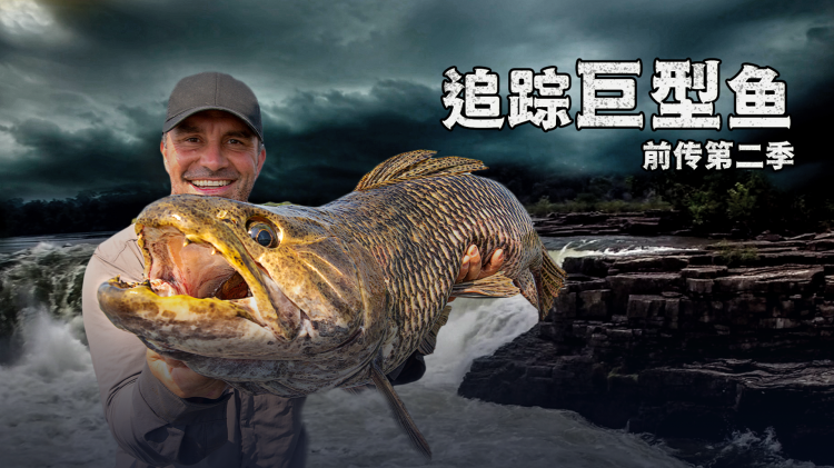 机智顾问蒲熠星顾得上就问