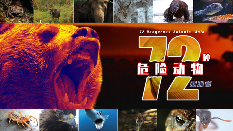 君子报恩十年太晚·终成眷属