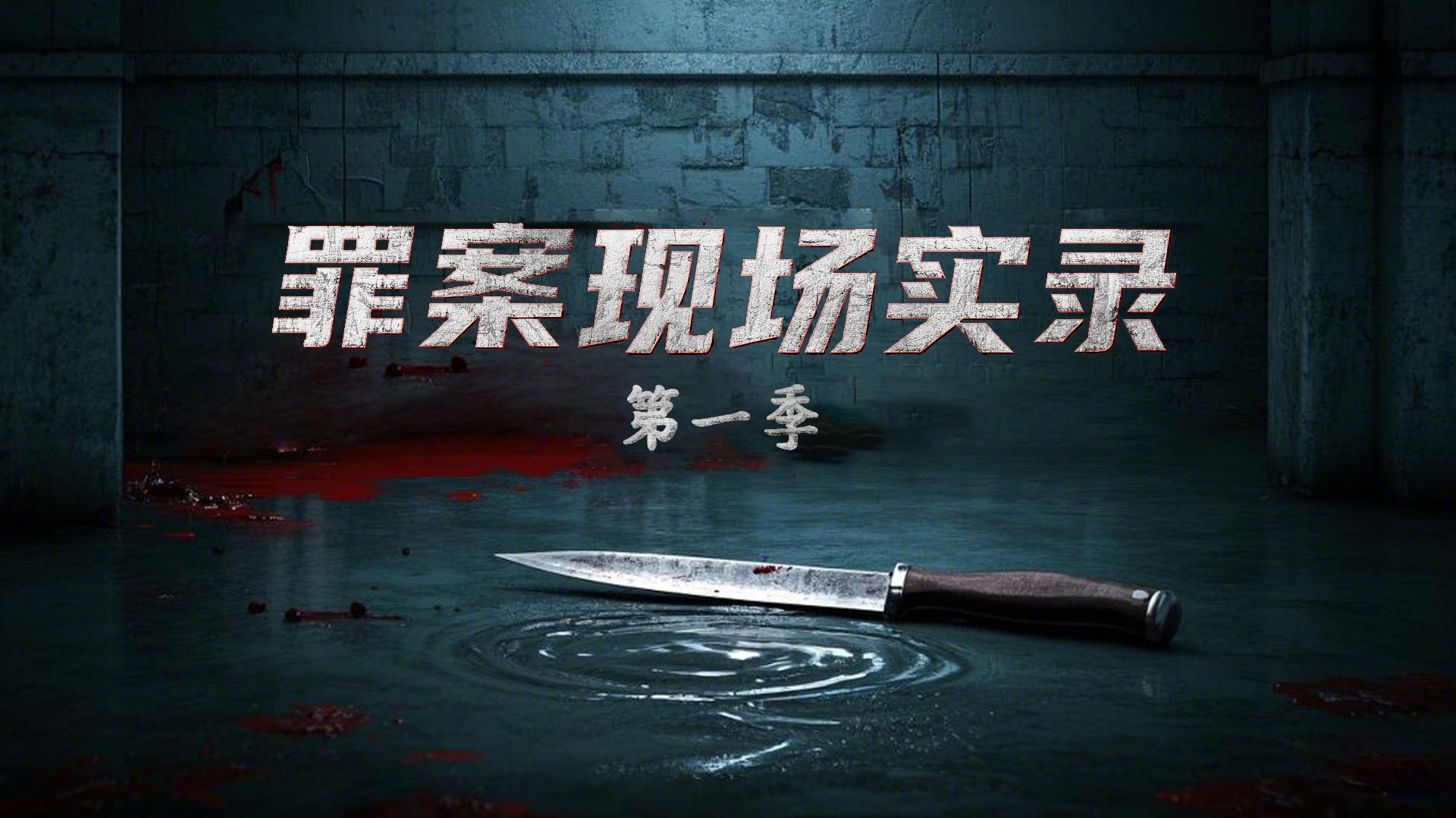 罪案现场实录 第一季-封面1
