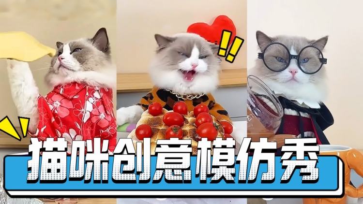 《换亲》之初识与摩擦