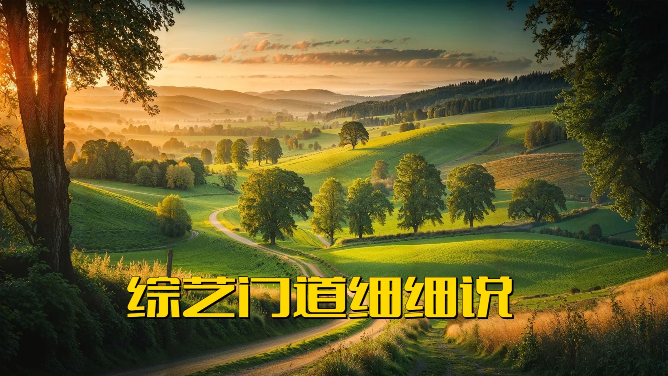 综艺门道细细说_黑哥聊综艺02：外国整活综艺到底谁是男的_综艺_高清完整版视频在线观看_腾讯视频