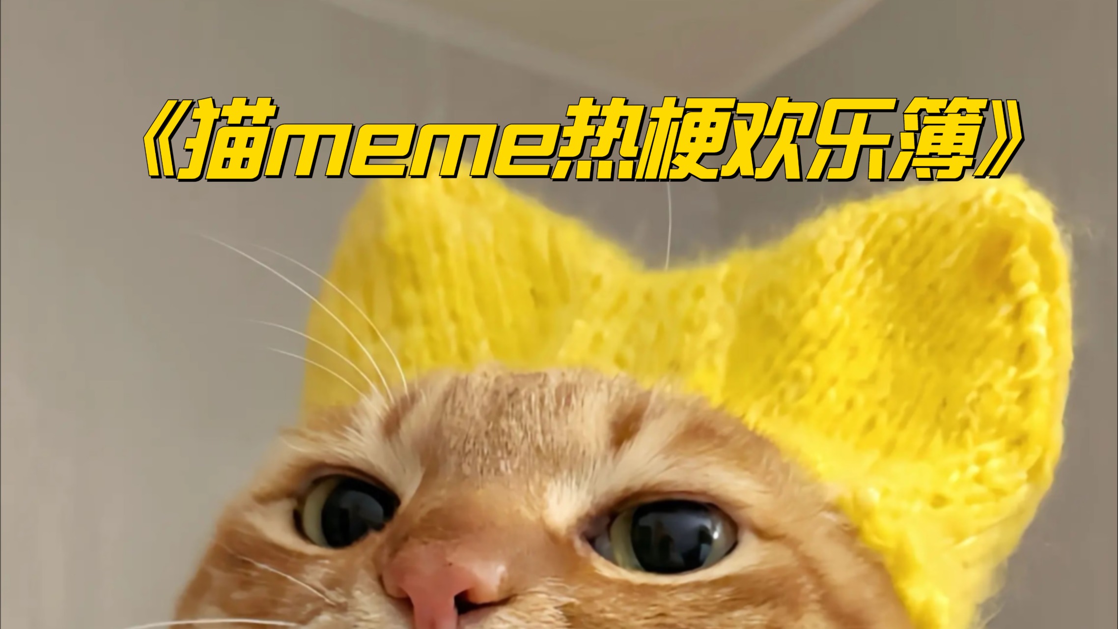 《猫meme热梗欢乐簿》_50：当周文凯给退伍老兵唱新版苟活_综艺_高清完整版视频在线观看_腾讯视频