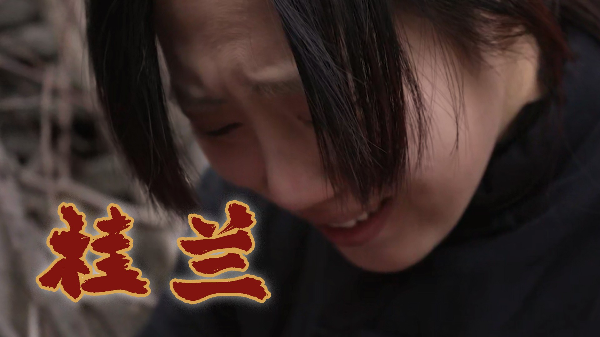 桂兰第24集_电视剧_高清完整版视频在线观看_腾讯视频