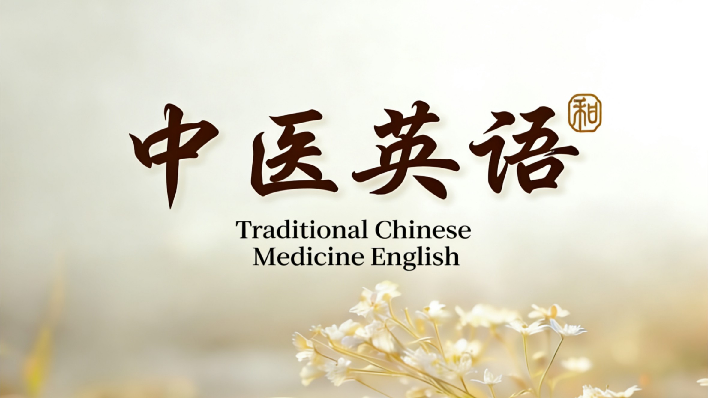【和世璧】中医英语|双语科普_【中医英语】用外国人听得懂的方式介绍中医针灸_综艺_高清完整版视频在线观看_腾讯视频
