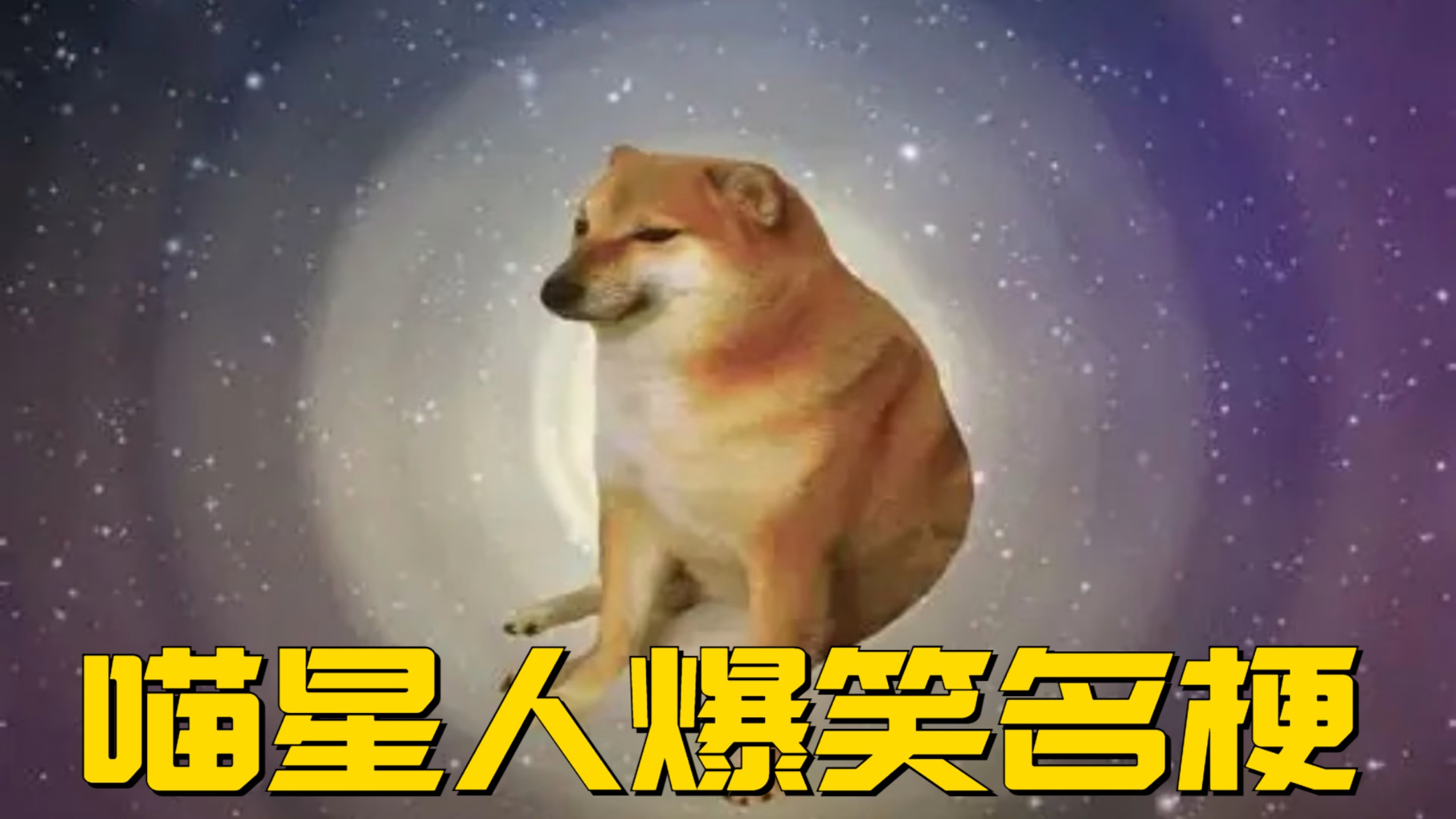 喵星人爆笑名梗_猫meme故事01：军训场面哪家强？_综艺_高清完整版视频在线观看_腾讯视频