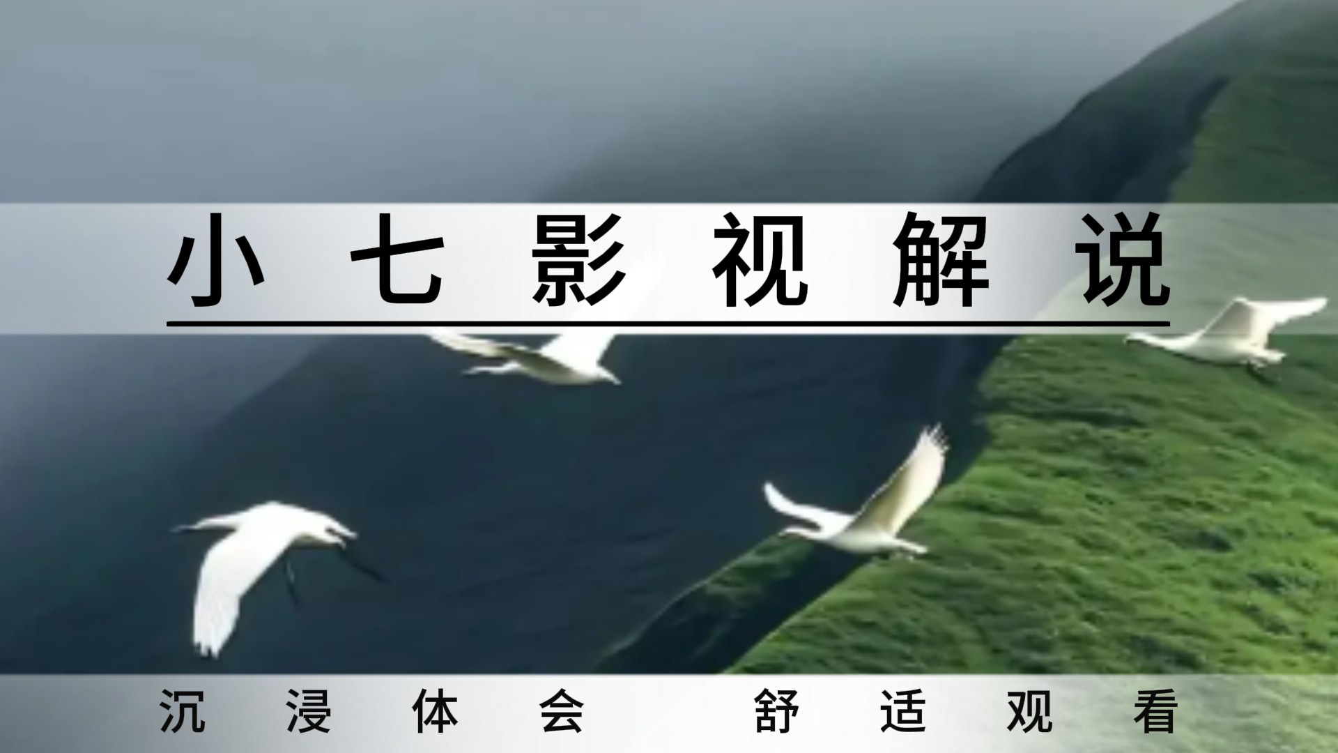 小七影视解说_如果你是男主，血海深仇和心爱之人，你会怎么选？_电影_高清完整版视频在线观看_腾讯视频