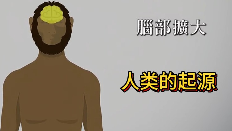 中年保安巅峰归来的拼搏奋斗