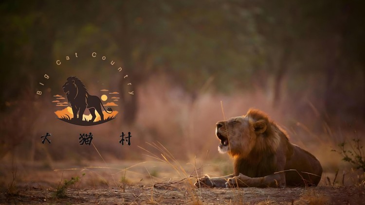 我要上村晚之老妈惊艳全场