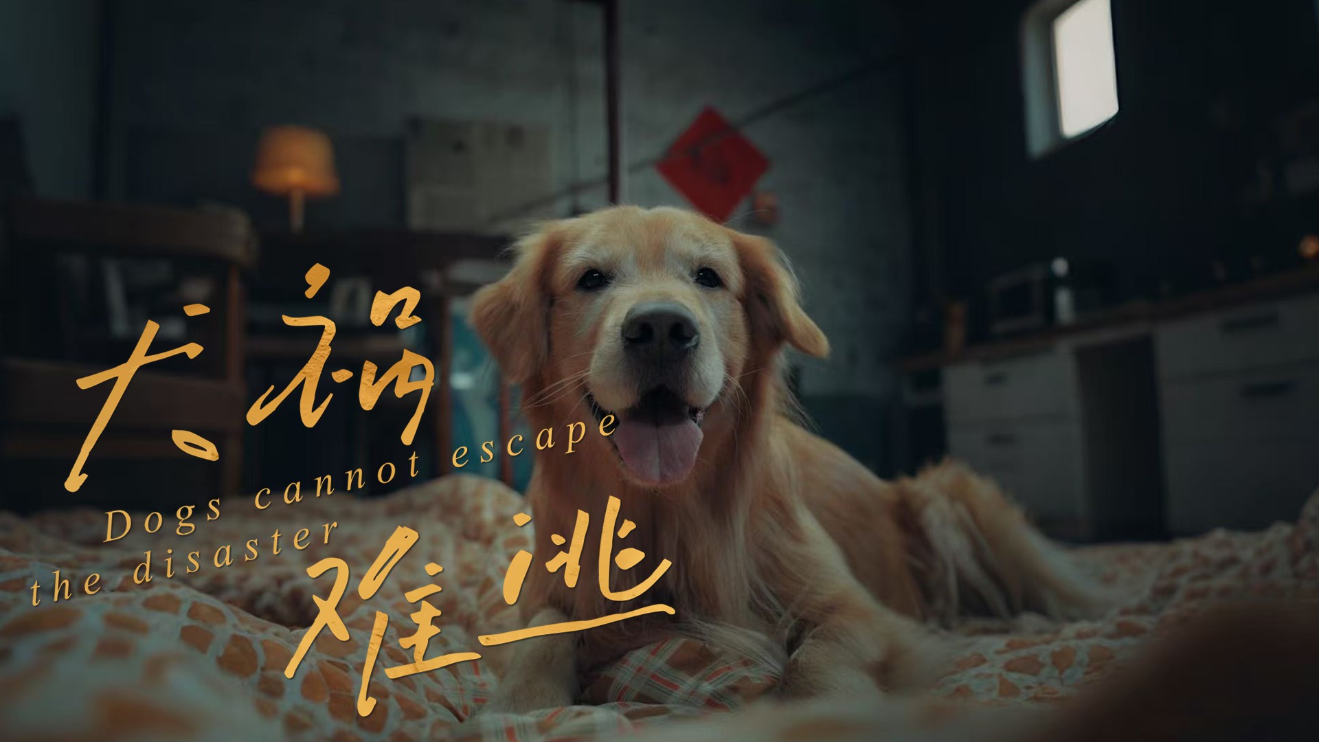 犬祸难逃第2集_电视剧_高清完整版视频在线观看_腾讯视频