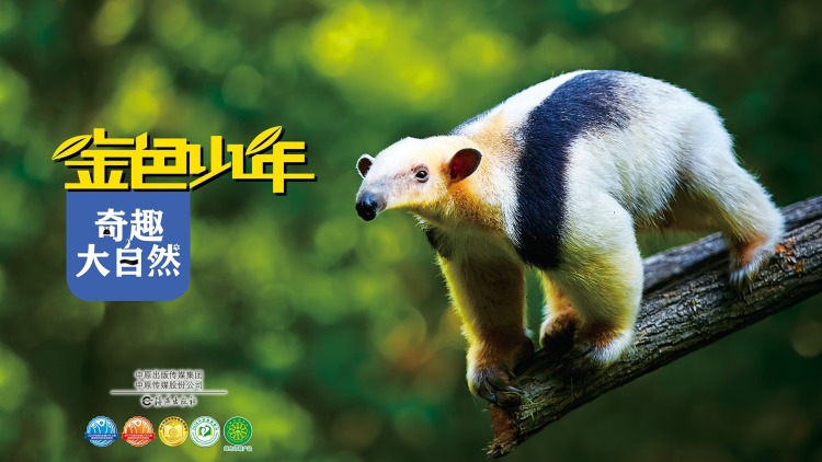 全村的希望返乡了