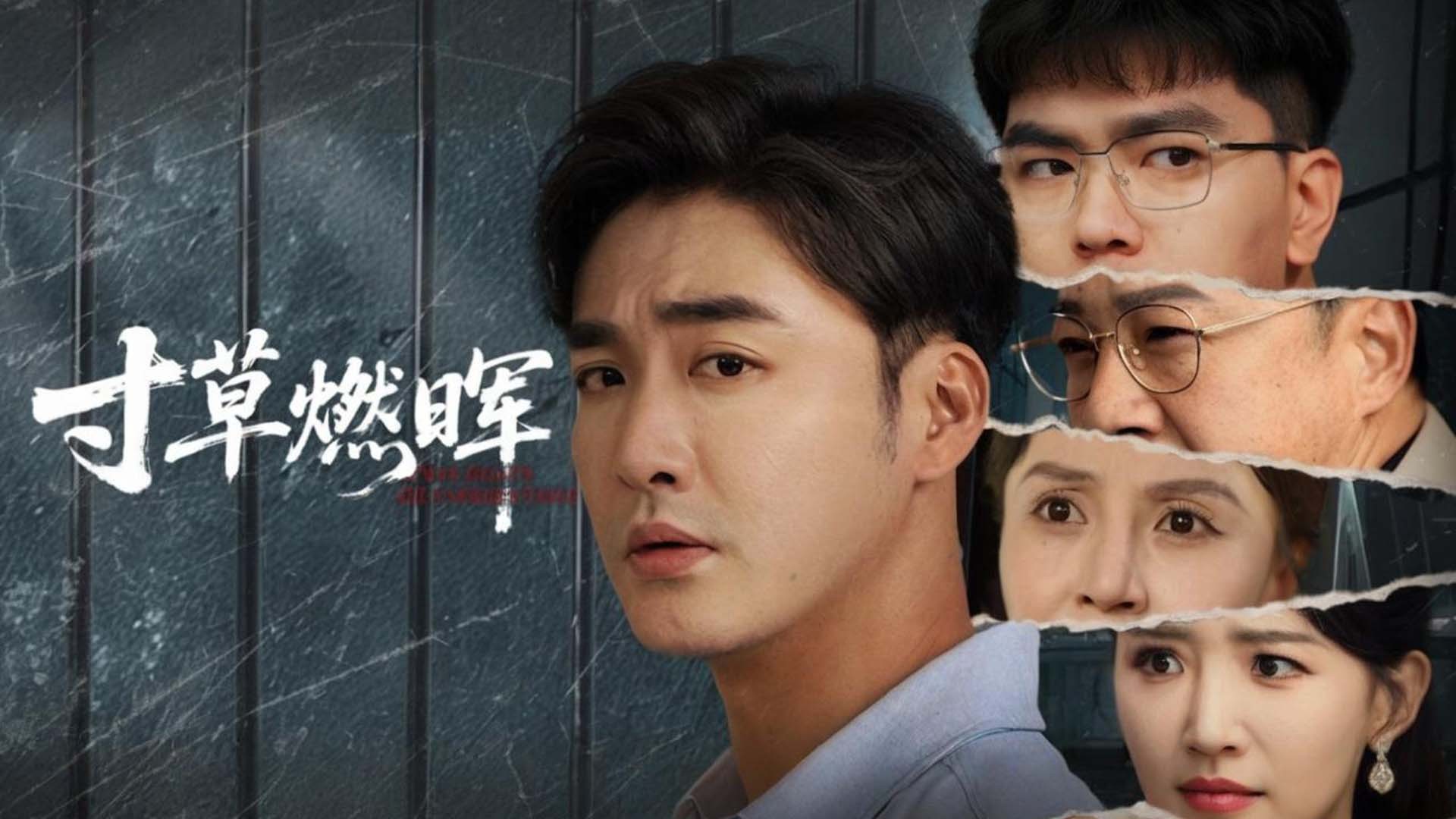 寸草燃晖_电视剧_高清完整版视频在线观看_腾讯视频