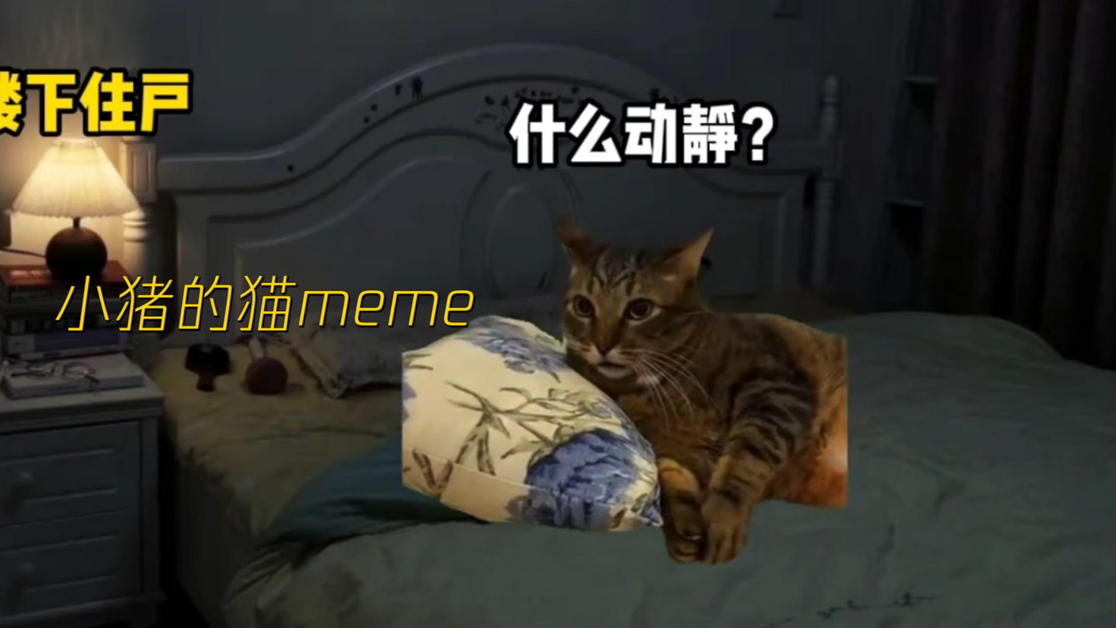 小猪meme沙雕动画_放屁传答案大合集_综艺_高清完整版视频在线观看_腾讯视频