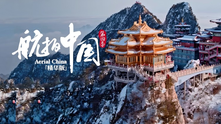 别扒了我身份藏不住了