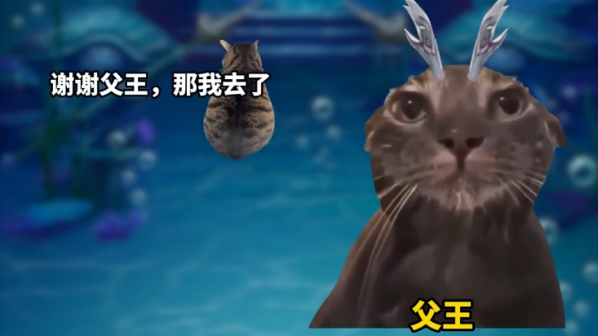 转转猫meme小剧场_狼：哥，还养吗丨第二季第3集_综艺_高清完整版视频在线观看_腾讯视频