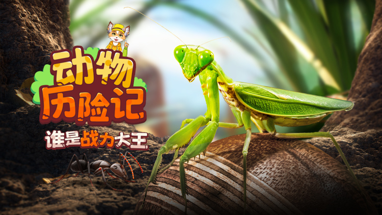 《异世界食堂第二季》_免费在线观看